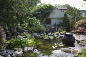 Build a Backyard Pond