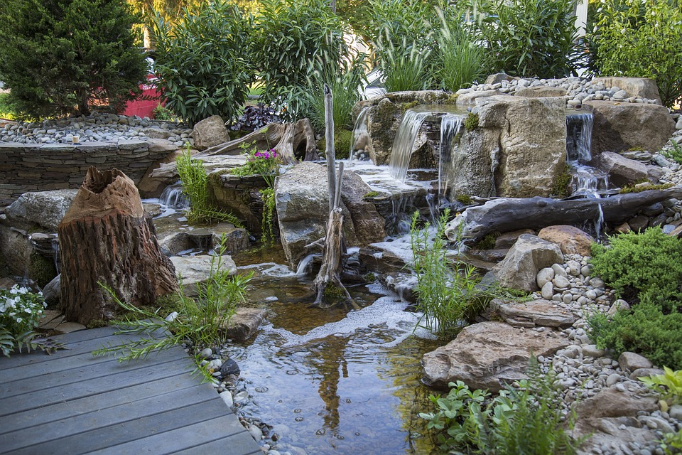 Build a Backyard Pond