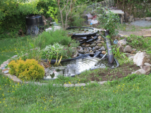 Build a Backyard Pond