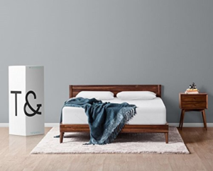 Tuft & Needle Mattress Review